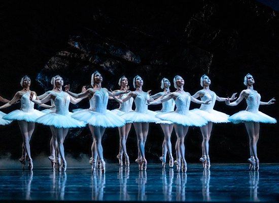 A group of dancers in Swan Lake