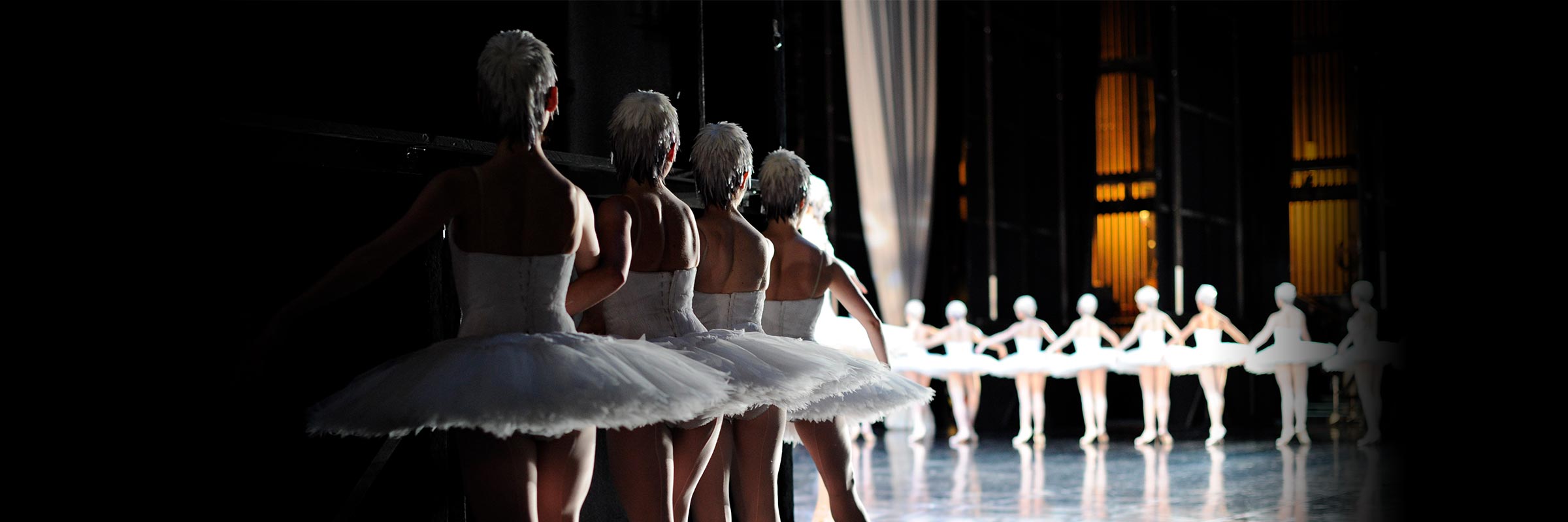 A line of dancers portraying swans—with white feathered skull caps, bodices, and tutus—prepare backstage for their entrance