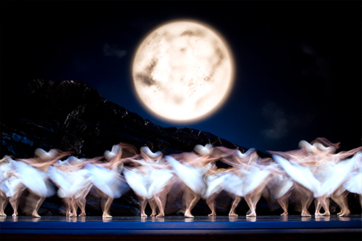 San Francisco Ballet in Tomasson's Swan Lake // © Erik Tomasson