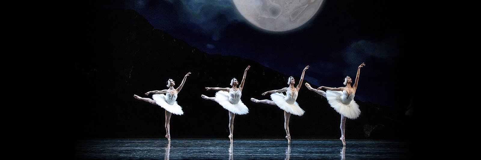 A group of dancers in Swan Lake