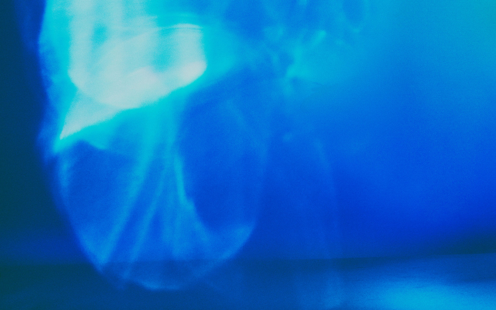 offers-promo-codes-and-rush-tickets-san-francisco-ballet